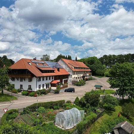 Апартаменты Haus Schlageter Dachsberg im Schwarzwald Экстерьер фото