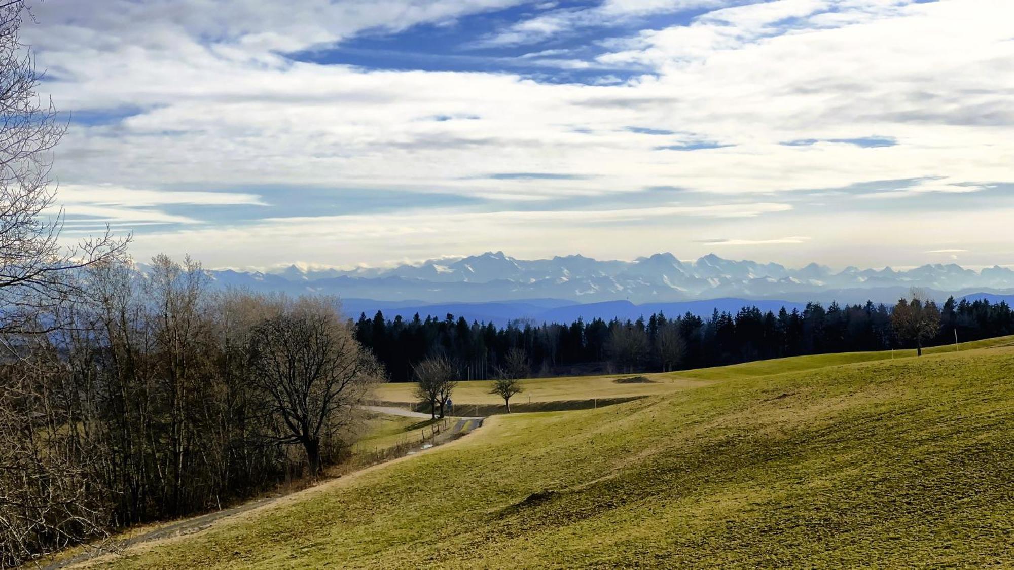 Апартаменты Haus Schlageter Dachsberg im Schwarzwald Экстерьер фото