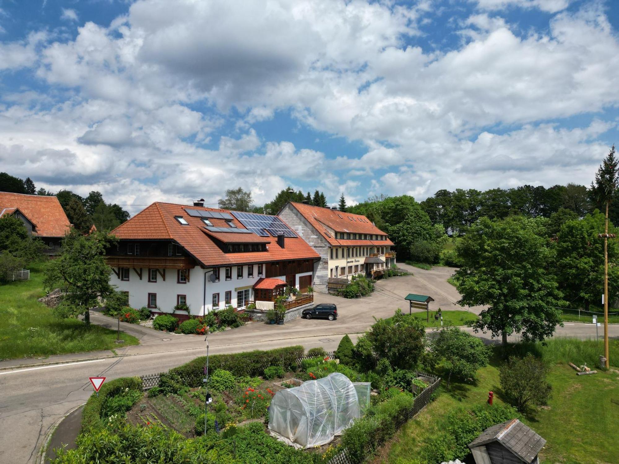 Апартаменты Haus Schlageter Dachsberg im Schwarzwald Экстерьер фото